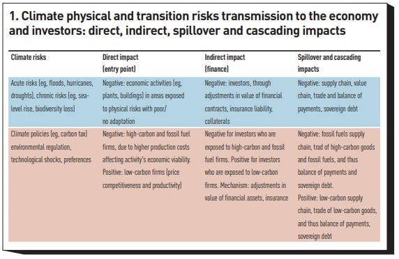 Figure 1: . Climate physical and transition risks transmission to the economy and investors: direct, indirect, spillover and cascading impacts