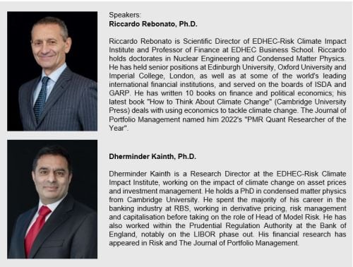 Riccardo Rebonato, Dherminder Kainth, EDHEC-Risk Climate