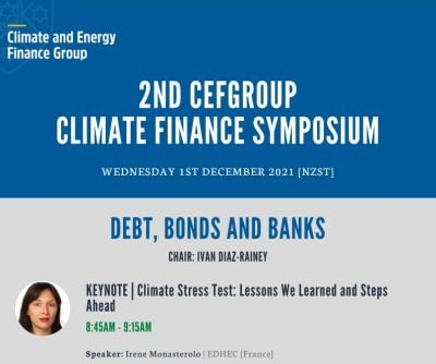 Irene Monasterolo, Professor of Climate Finance, EDHEC Business School and EDHEC-Risk,
